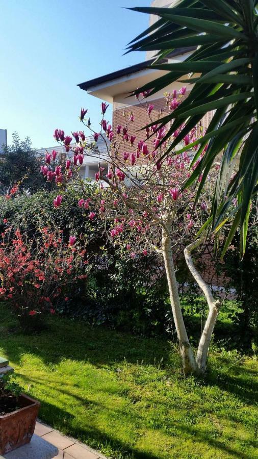 Home Denise E Luca Latina Zewnętrze zdjęcie